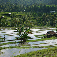 Photo de Bali - Banjar et Gitgit